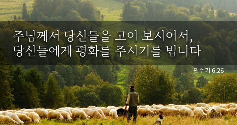 주 너를 지키시고