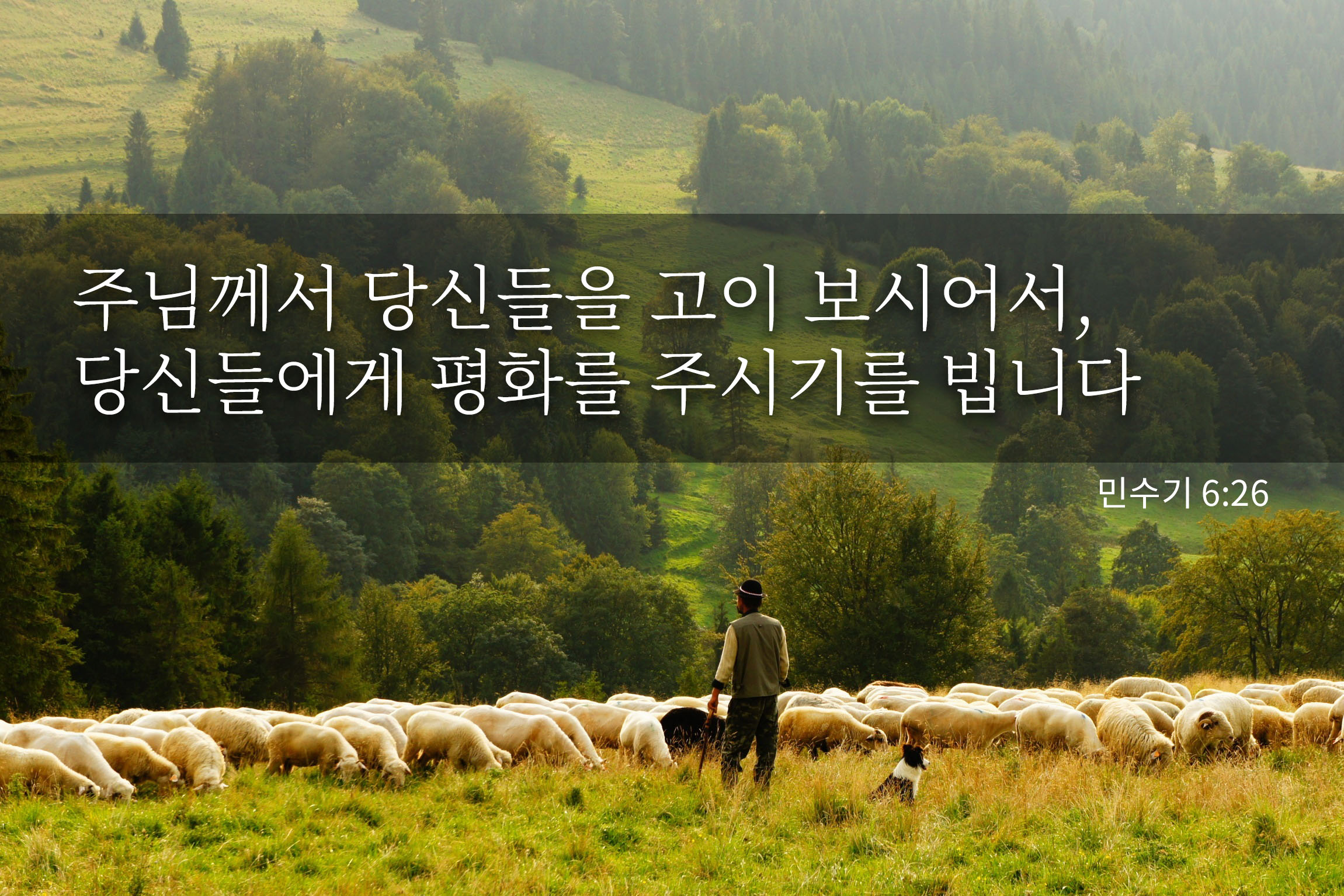 주 너를 지키시고