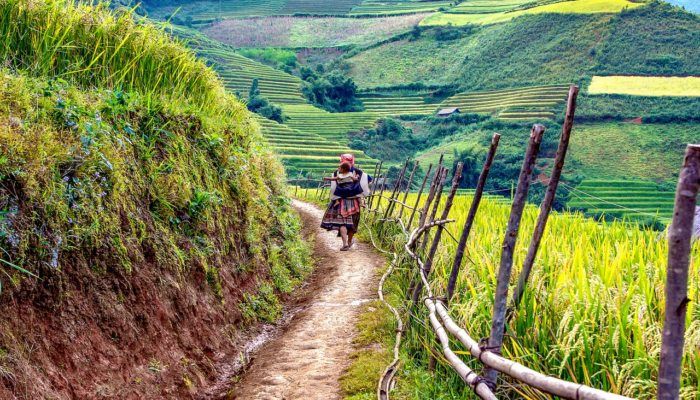 고향에 돌아가리