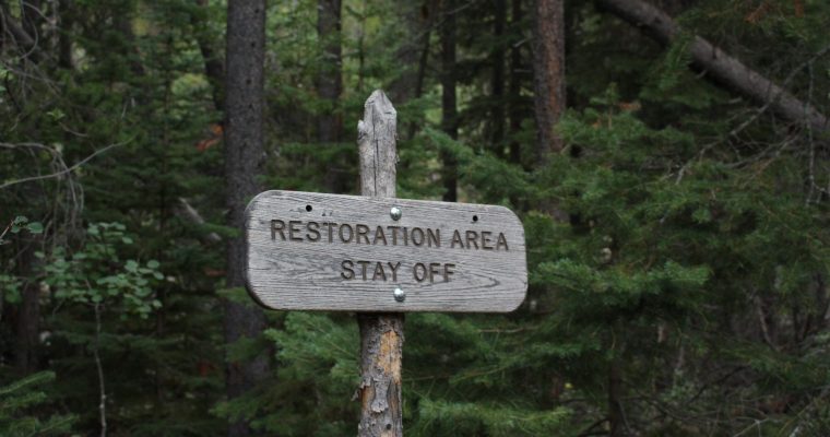 여러분의 ‘스펙’은 무엇인가요?