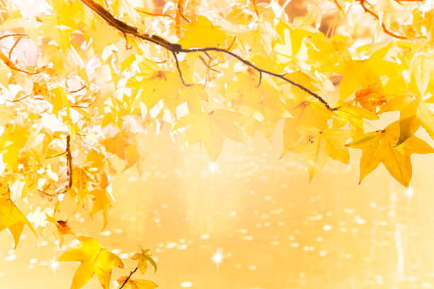 9월의 크리스마스