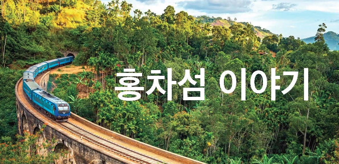 한다니엘, 박미히리 (S 국)