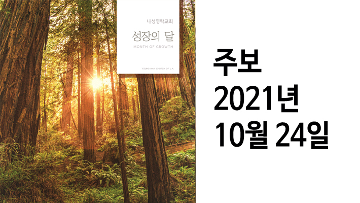 주보 2021-10-24