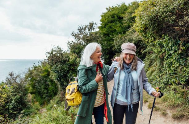제 친구를 소개합니다